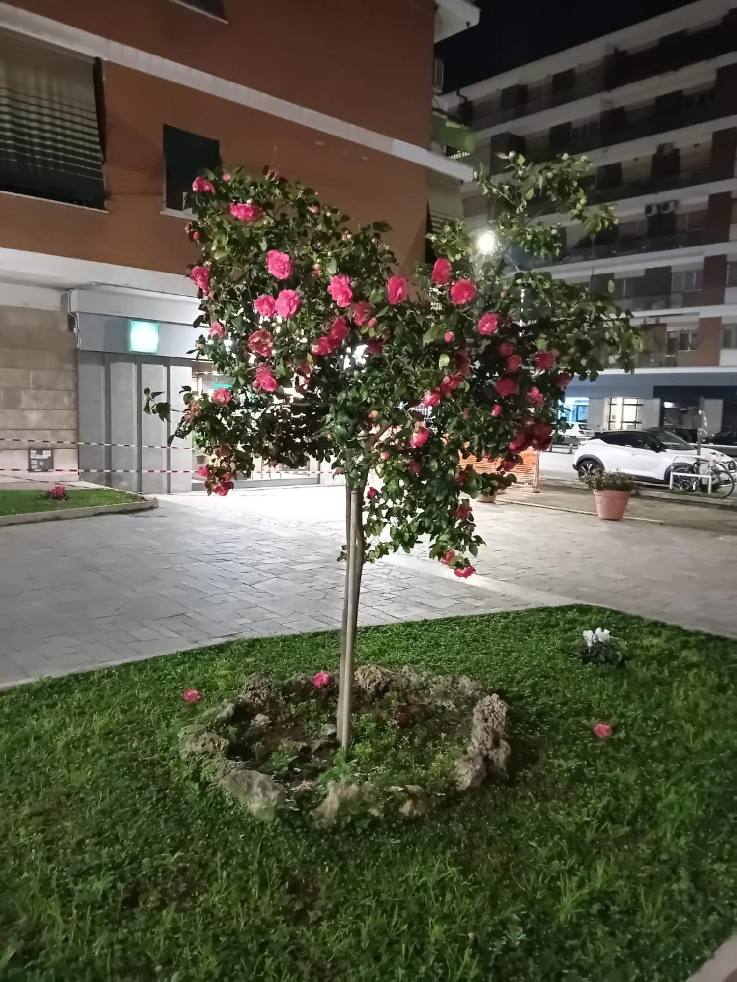 Olimpica Relais Guest House 로마 외부 사진